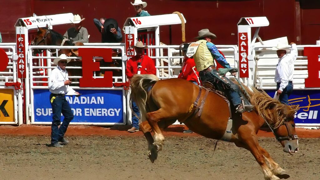 Rodeo security calgary